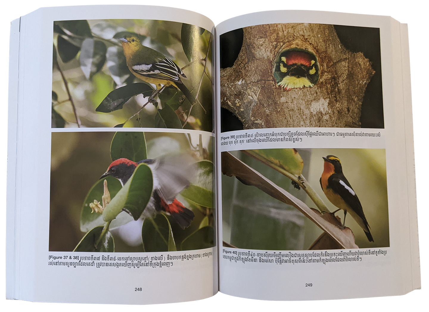 The Birds of Cambodia : An Annotated Checklist